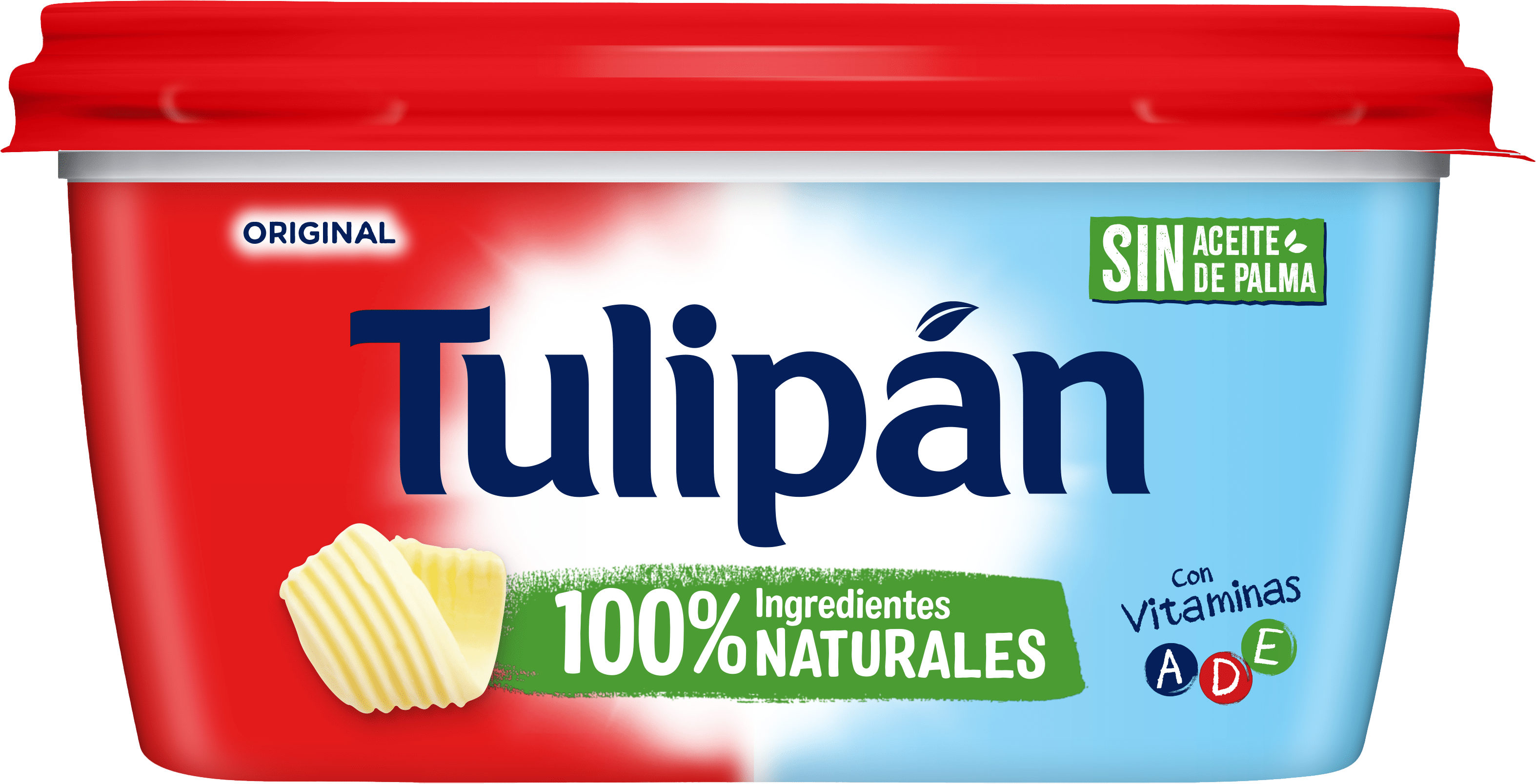 Tulipan